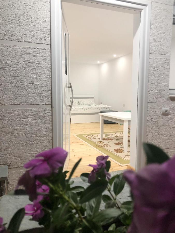 Seana Villa ساراندا المظهر الخارجي الصورة